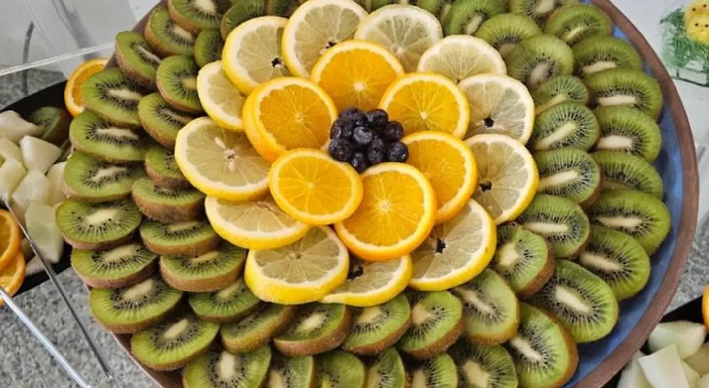 Park Hotel Rimini Tiere