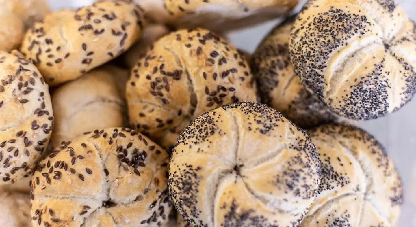 Park Hotel Rimini Tiere