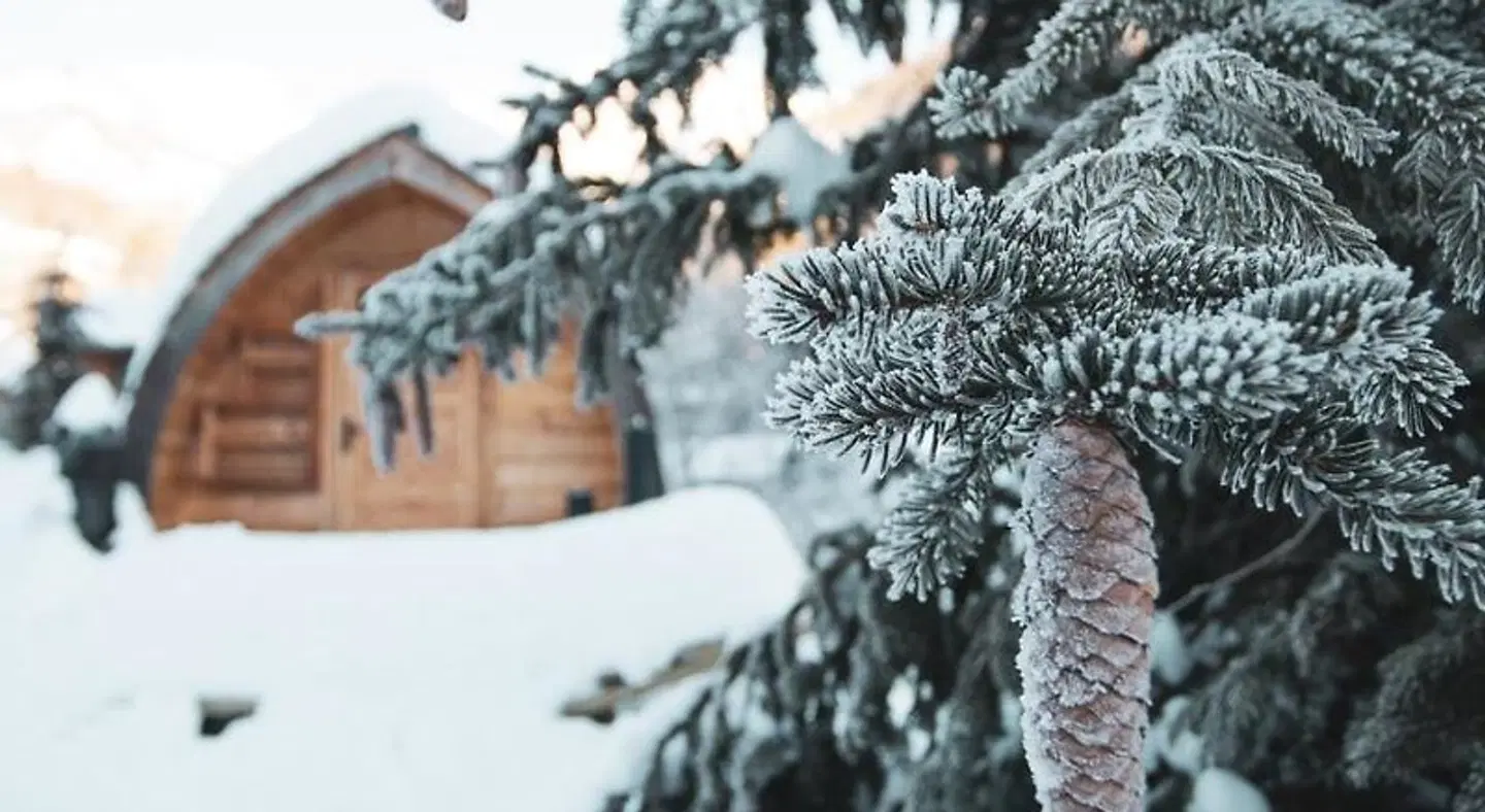 Ledro Mountain Chalet Tiere