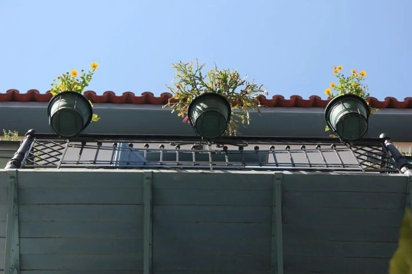 Polyxenia Hotel EXTERIOR