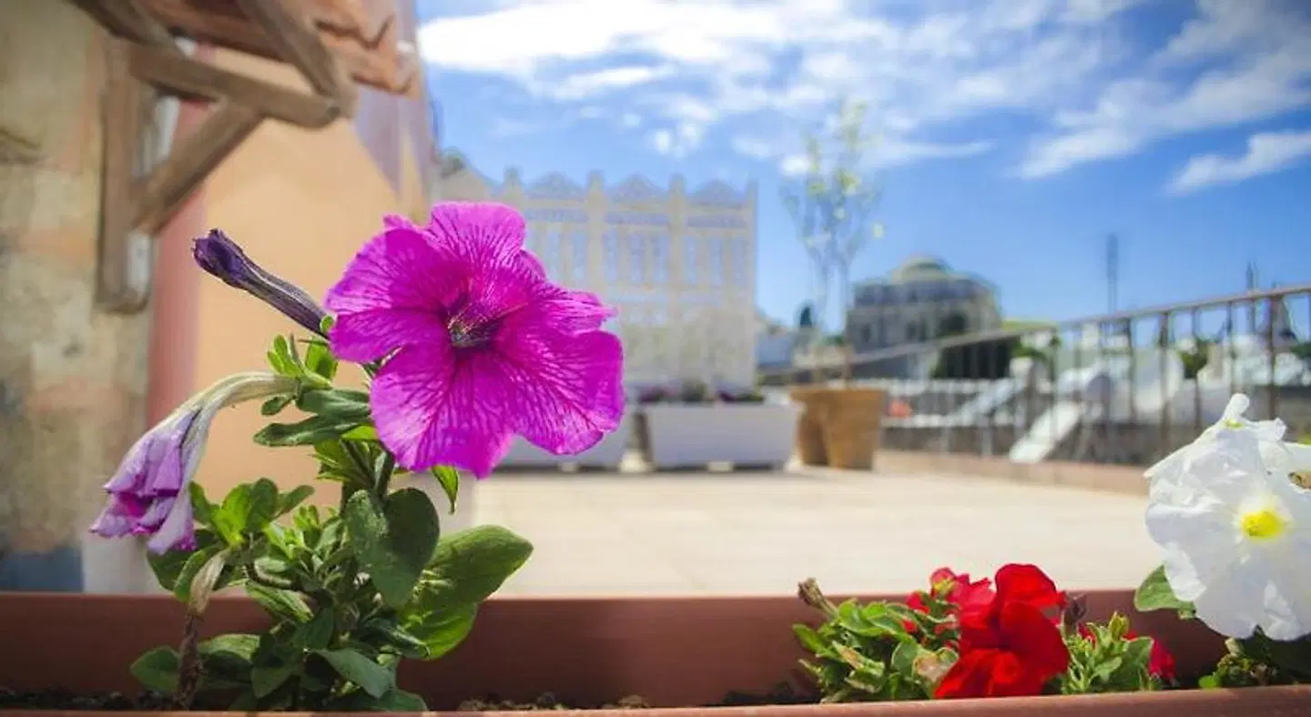 Petrino Terrasse