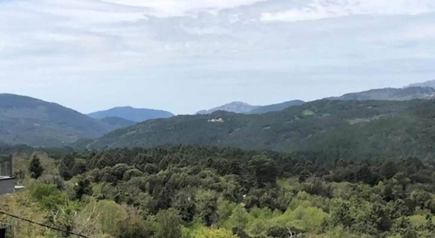 Hôtel du Tourisme Landschaft