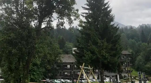 Buchenhöhe Landschaft