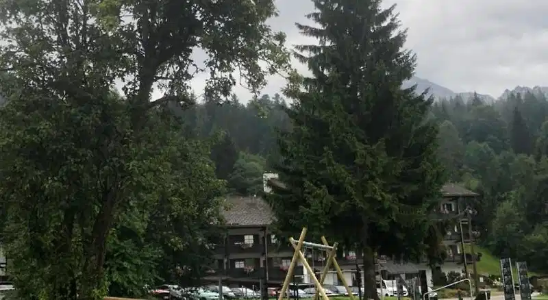 Buchenhöhe – Hotelfoto