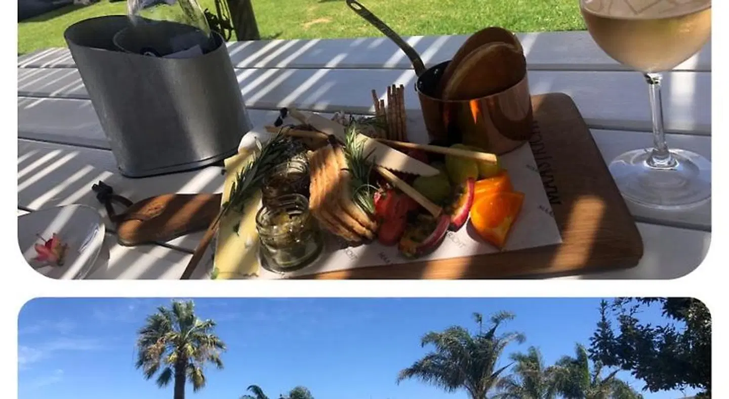 The Little Palm OUTDOOR_POOL