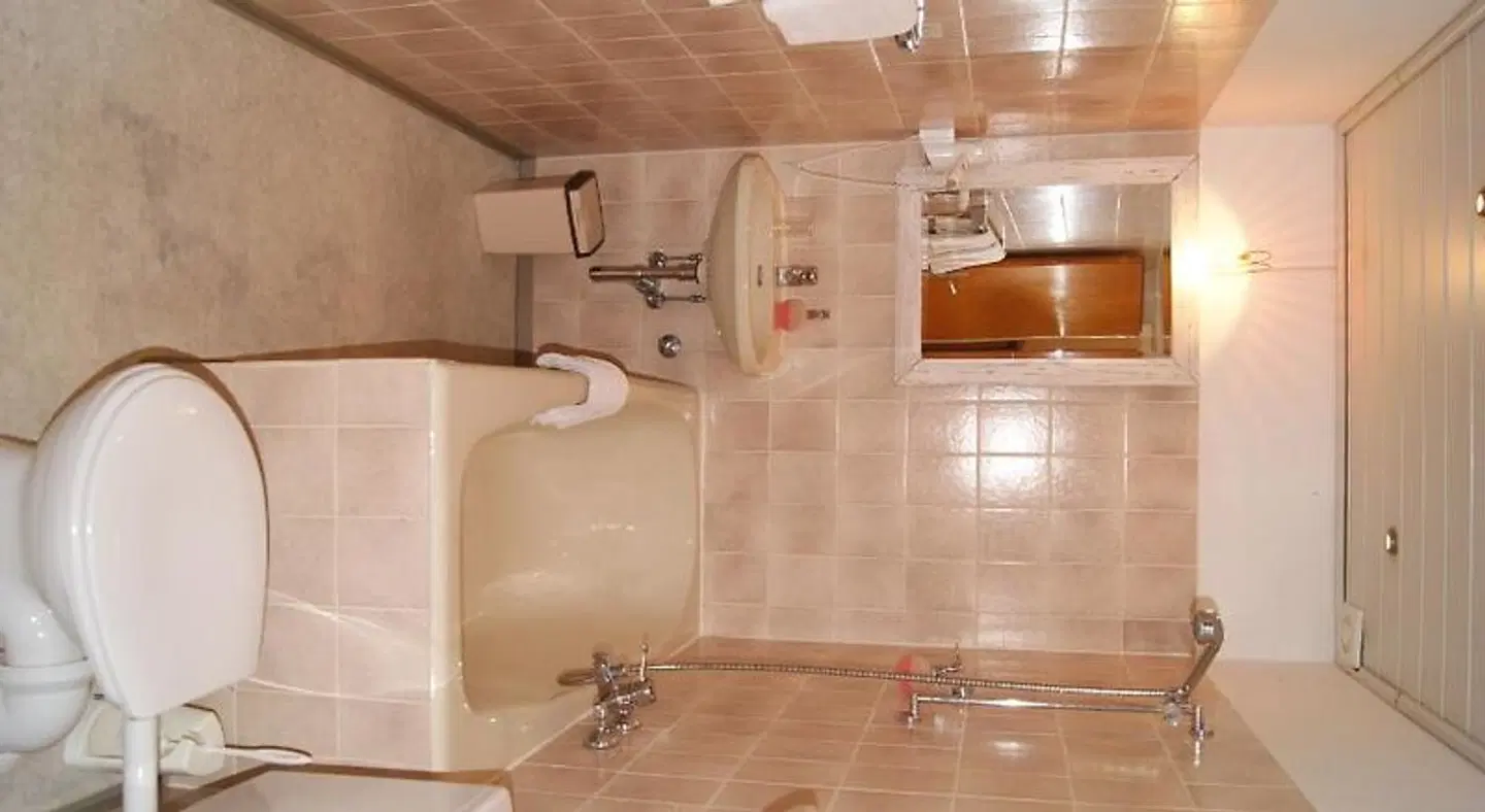 Grauer Wolf Badezimmer