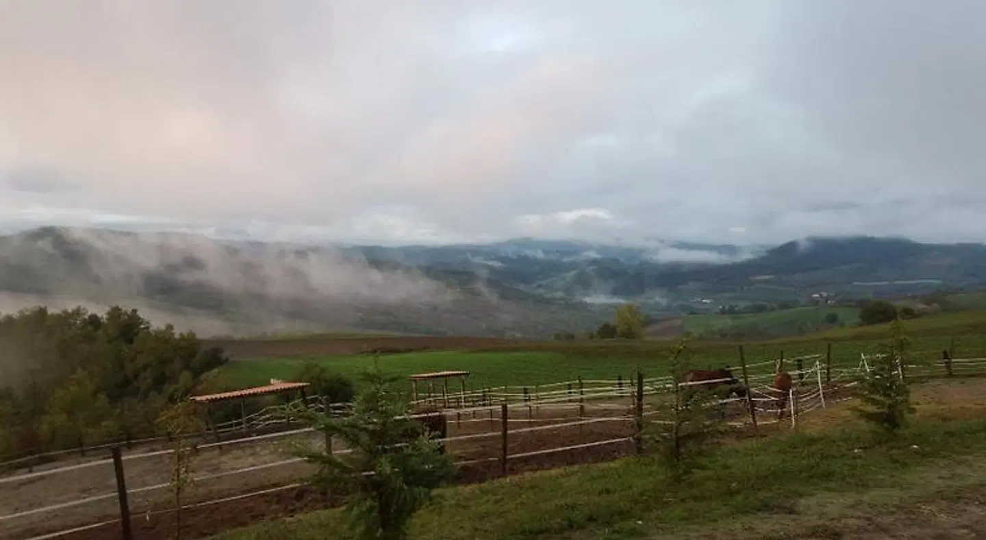 Allevamento B&B LANDSCAPE