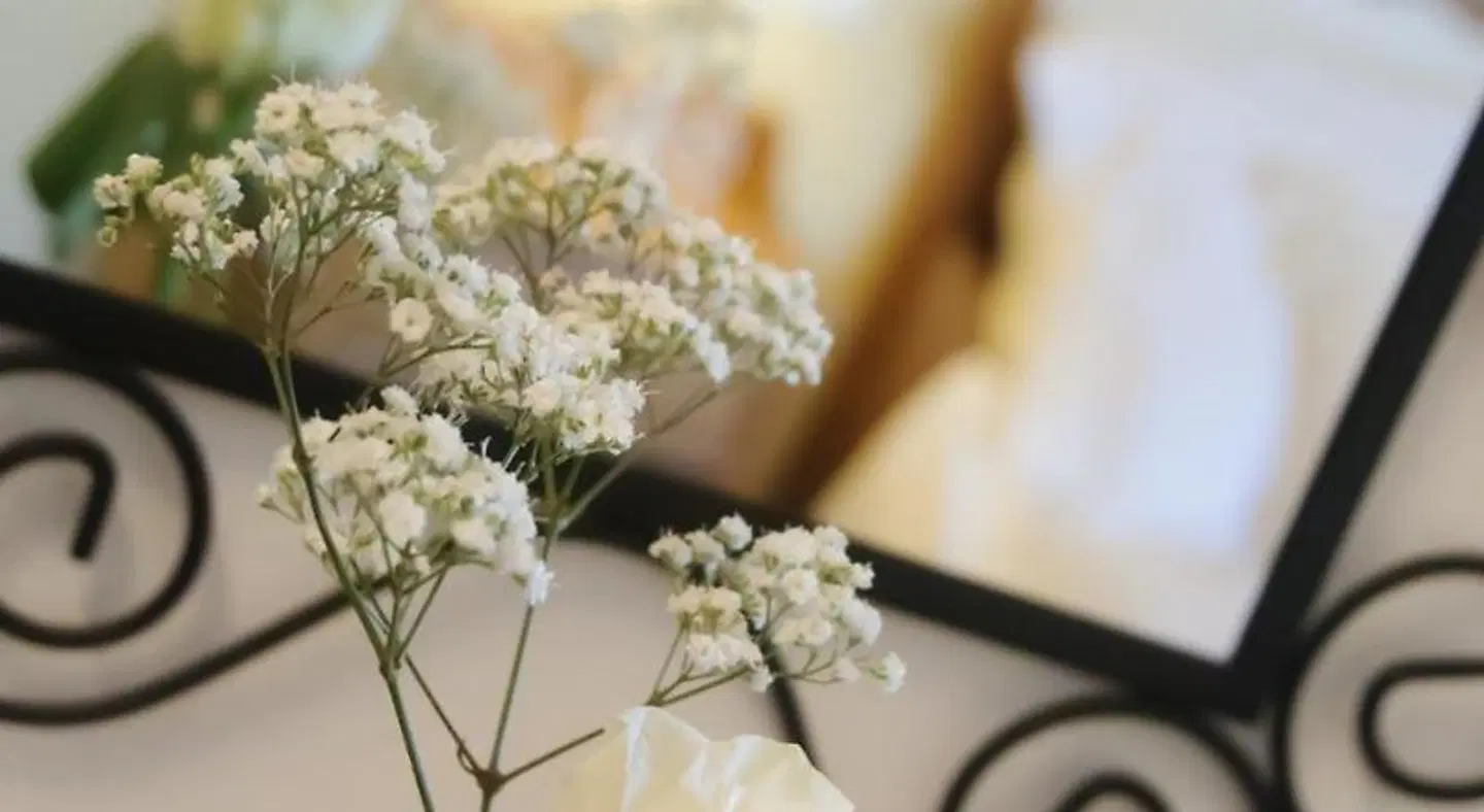 B&B La Fenice LANDSCAPE