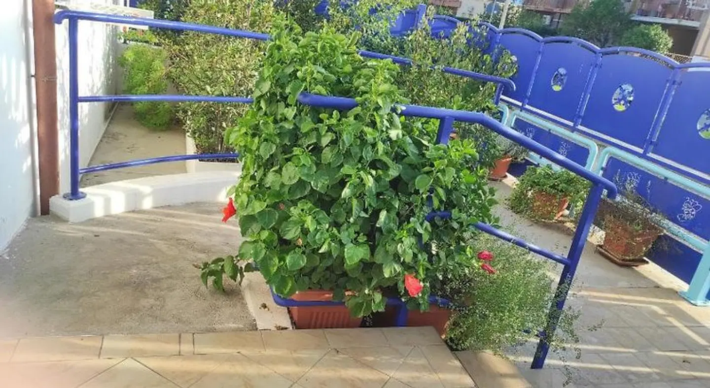 Coccinella EXTERIOR