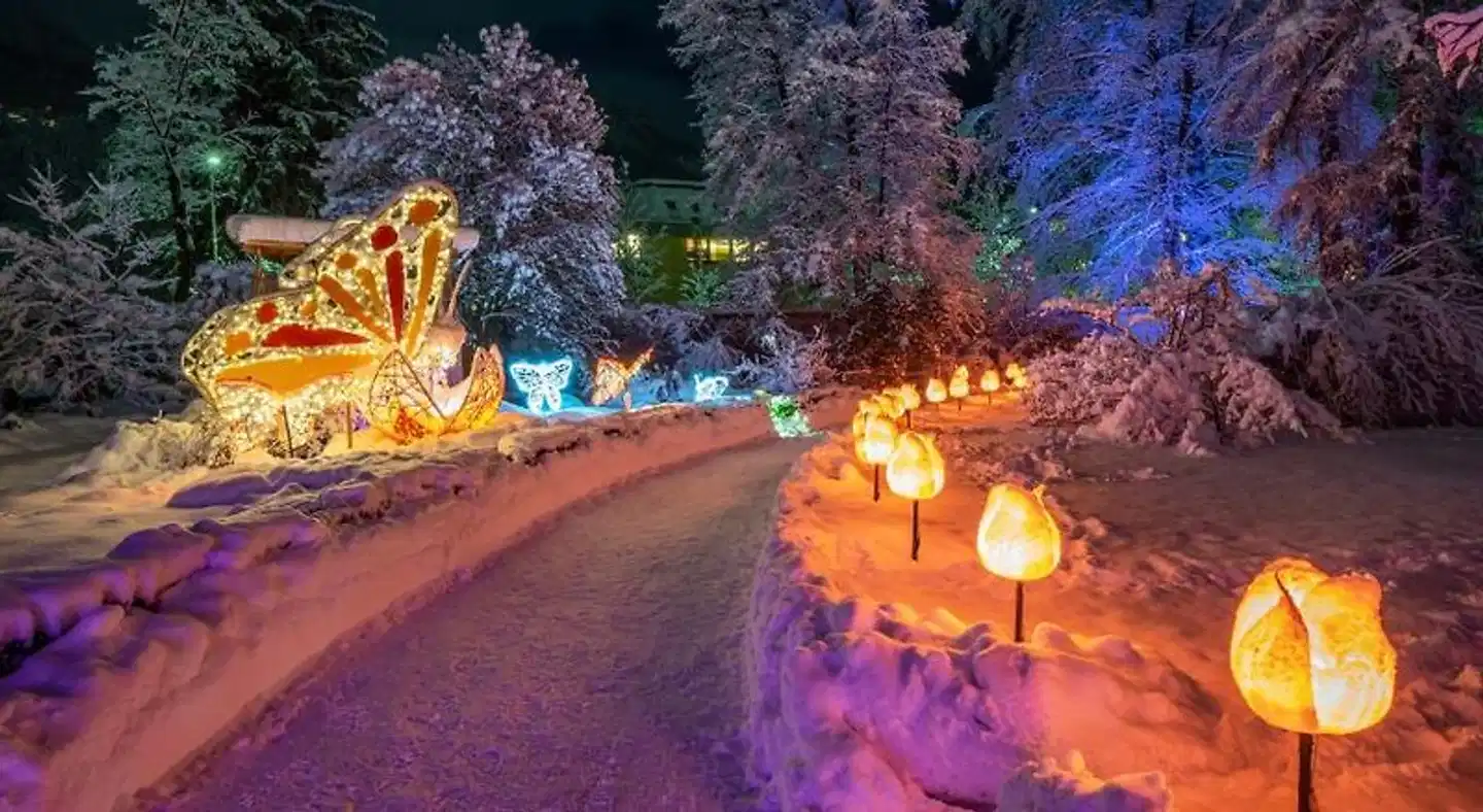 Kaiser Max Suite at the Golden Roof Tiere