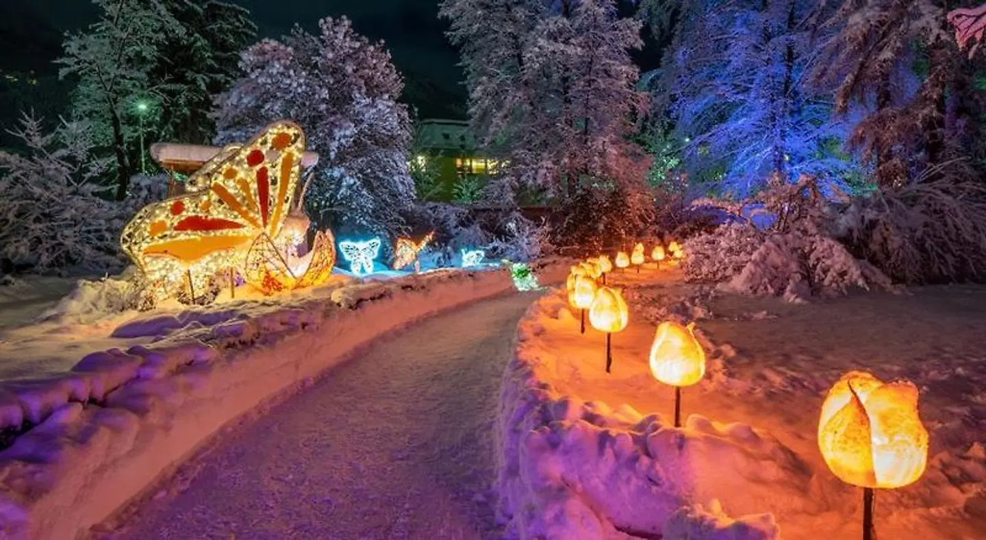 Kaiser Max Suite at the Golden Roof Tiere