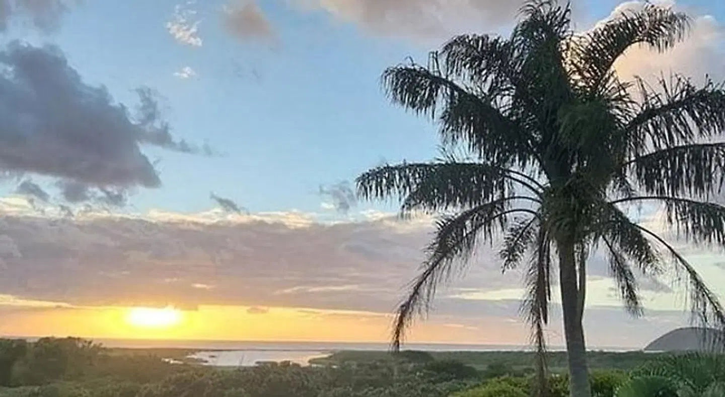 Little Eden LANDSCAPE