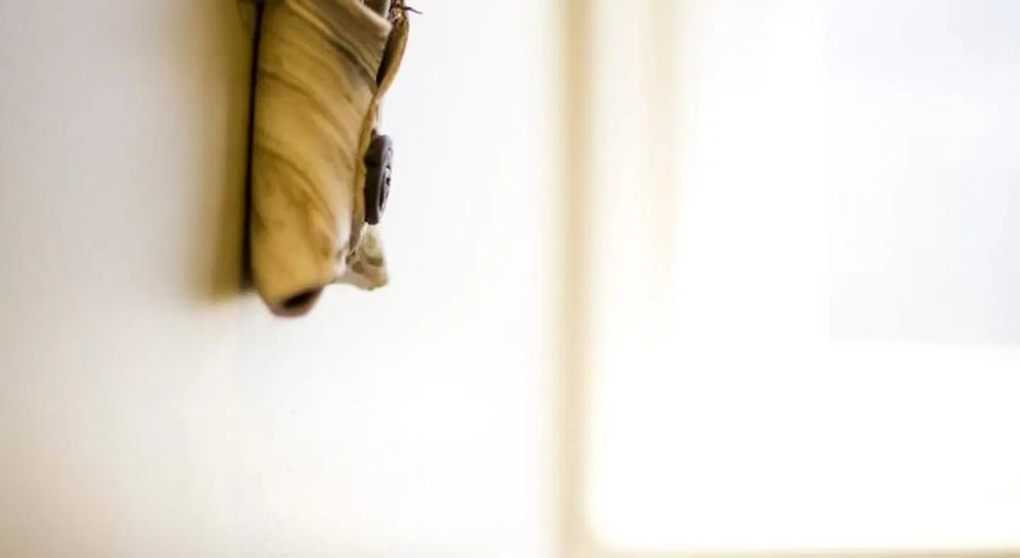 Cambria Shores Inn MODEL_IMPRESSION
