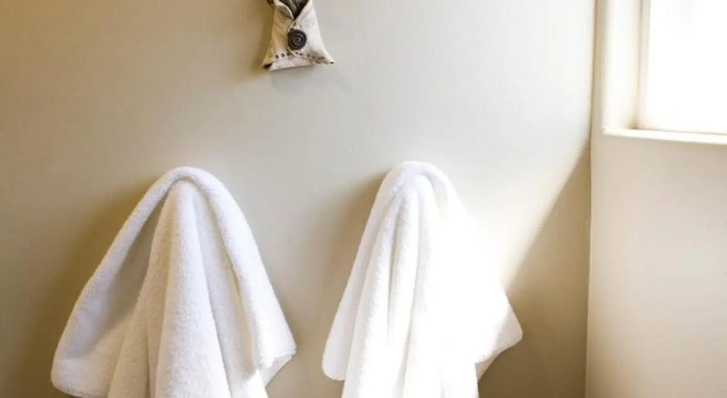 Cambria Shores Inn ROOM_EXAMPLE
