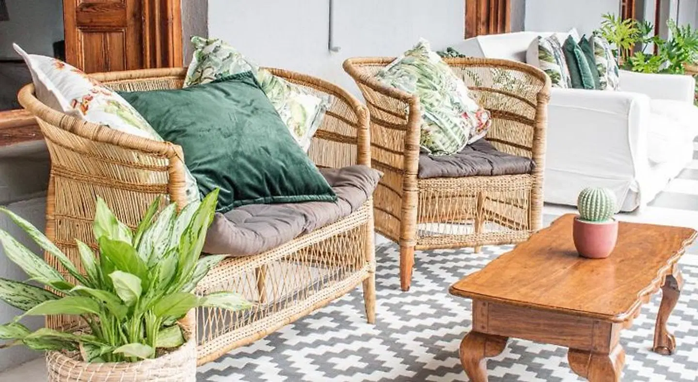 Olive Tree MODEL_IMPRESSION