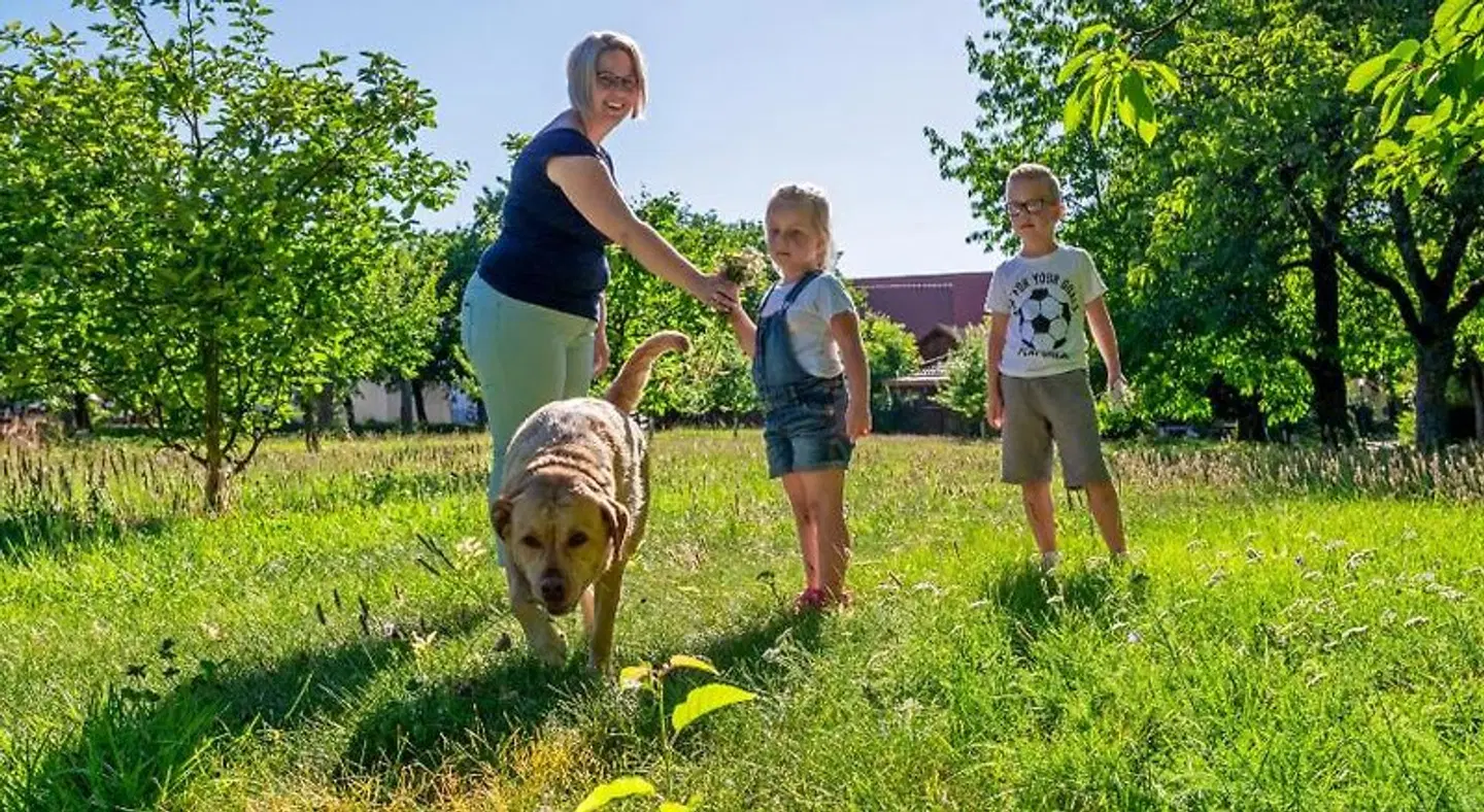 Schloßberg LANDSCAPE