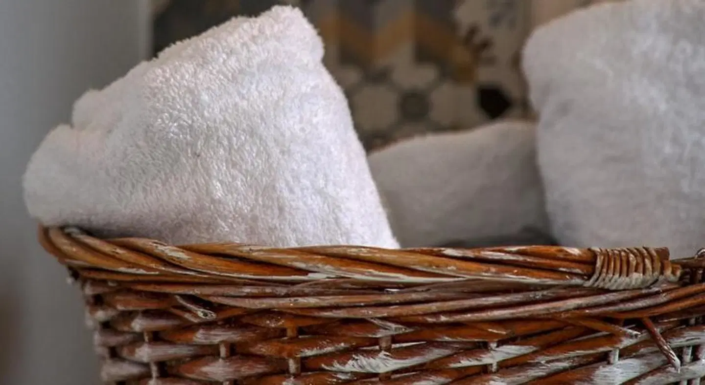 Mascot Boutique Hotel Tiere