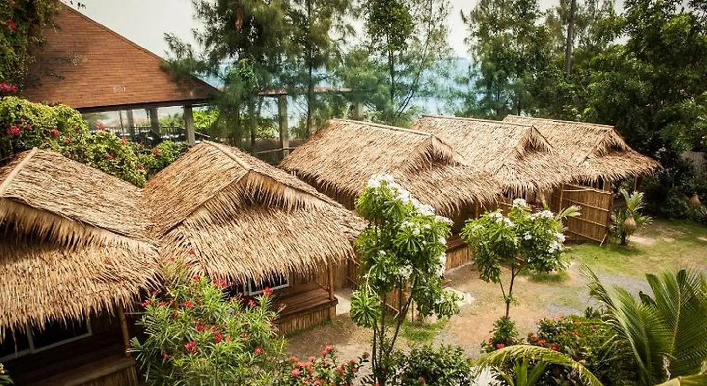 Vikasa Yoga Retreat Tiere