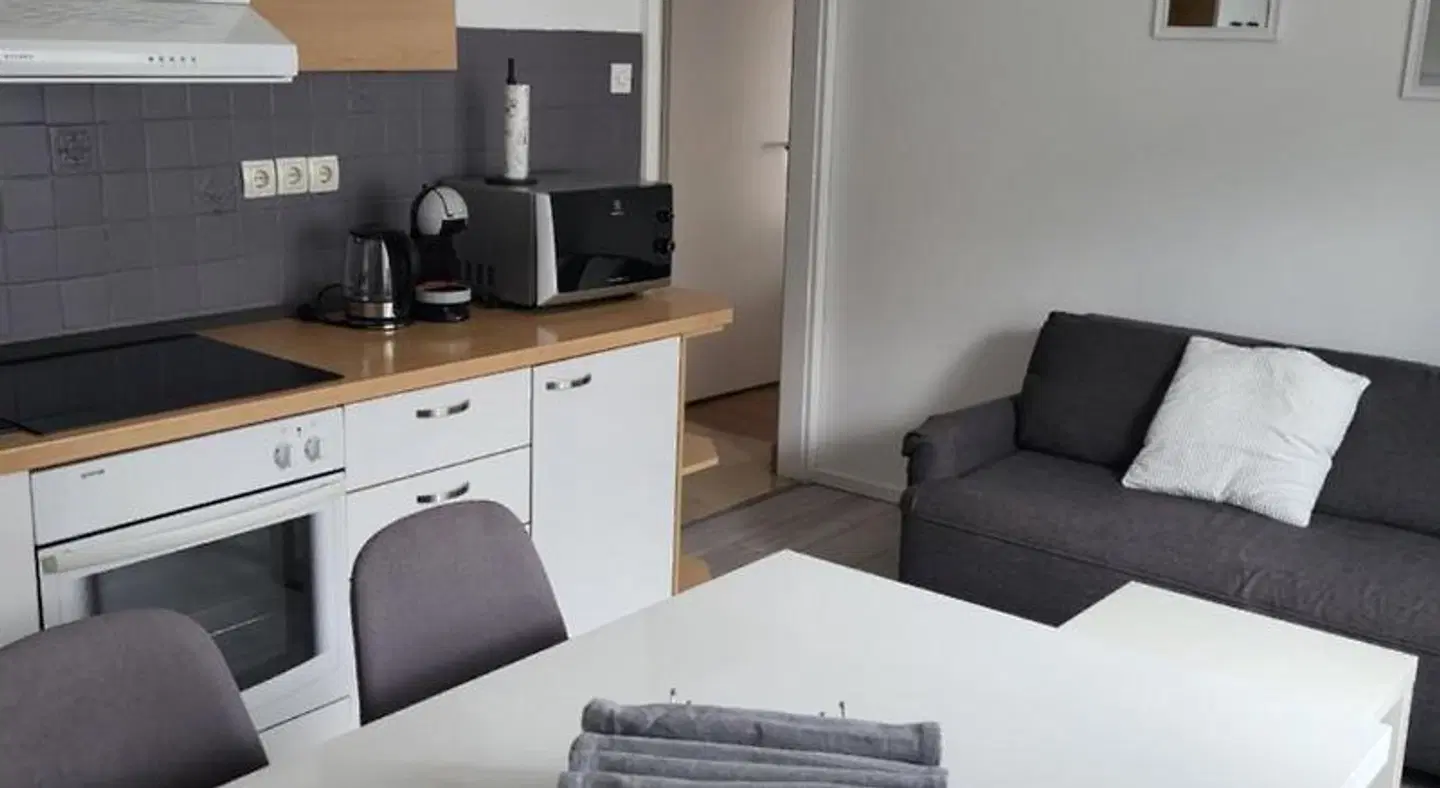 Apartments Vukovic ROOM_EXAMPLE