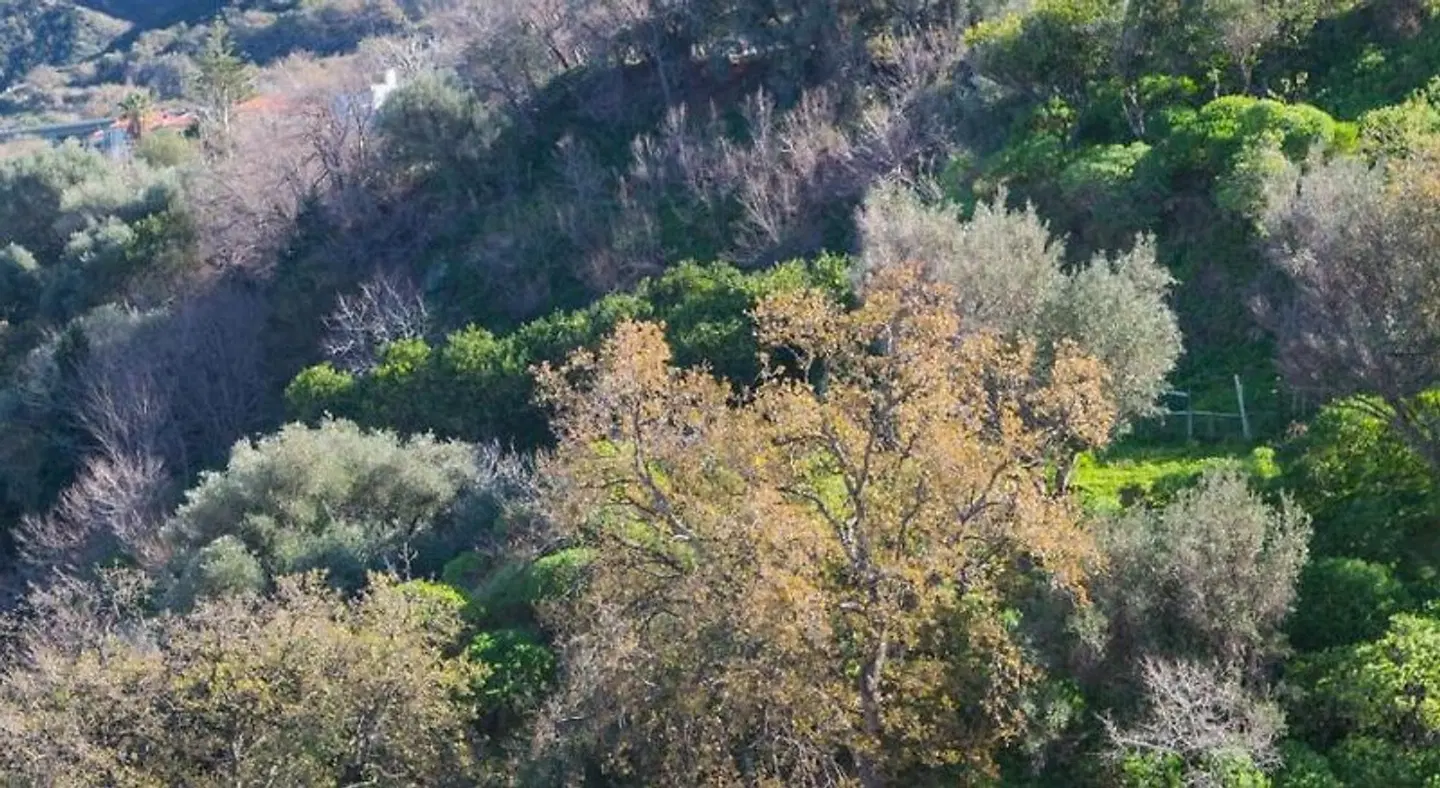 Residenza Danidea LANDSCAPE