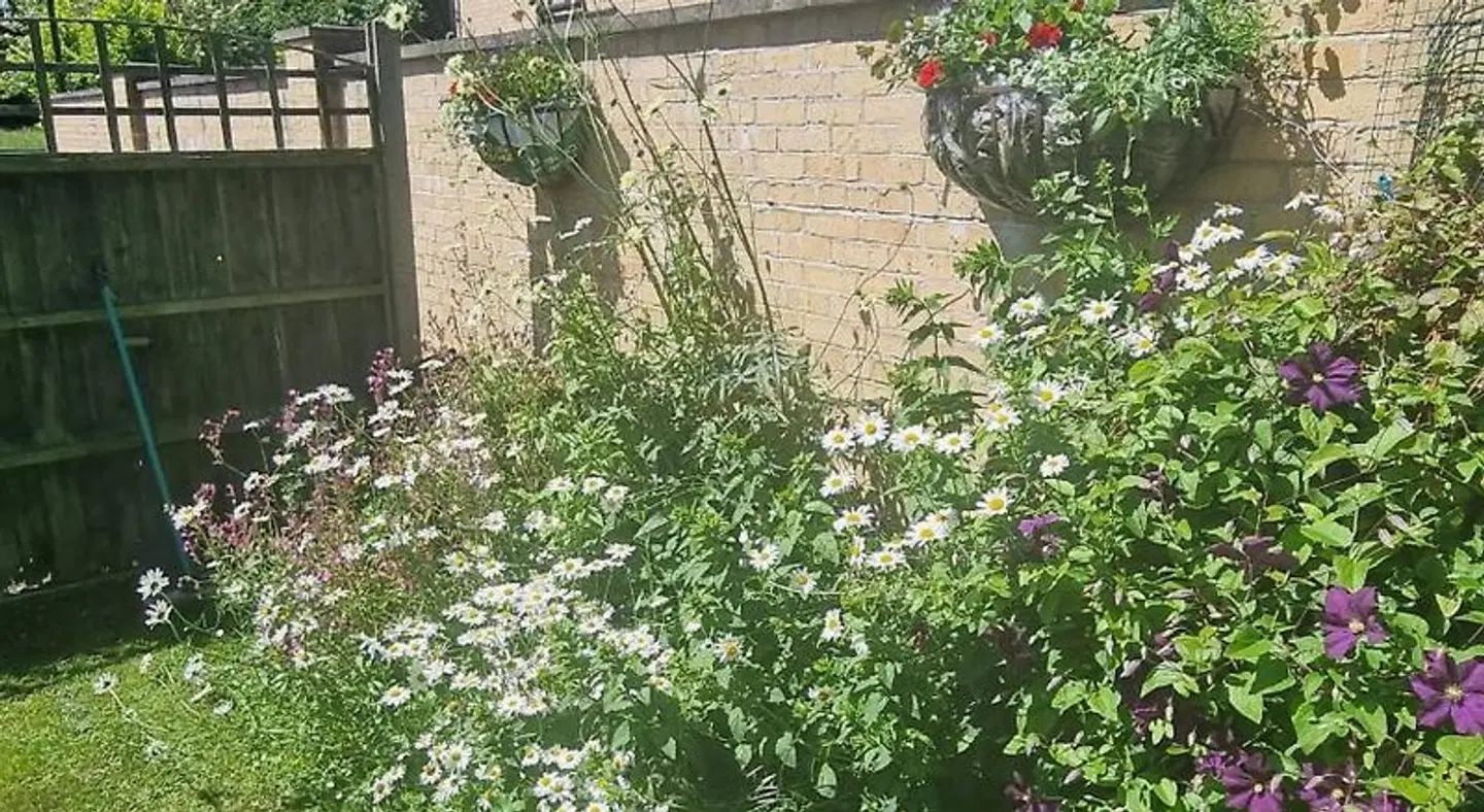 Anchor House LANDSCAPE