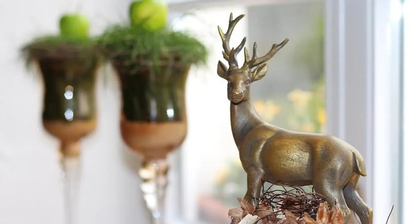 Hirsch Tiere