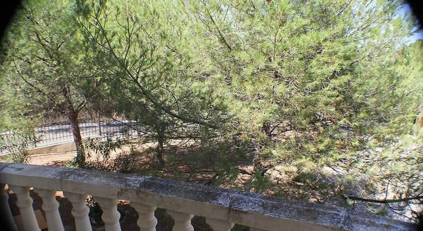 Aparthotel Las Nieves LANDSCAPE