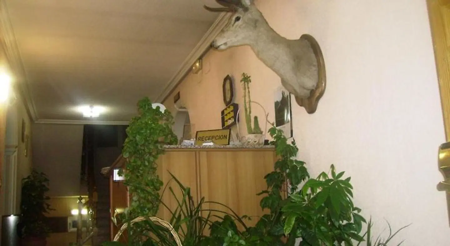 Aparthotel Las Nieves LOUNGE_LOBBY