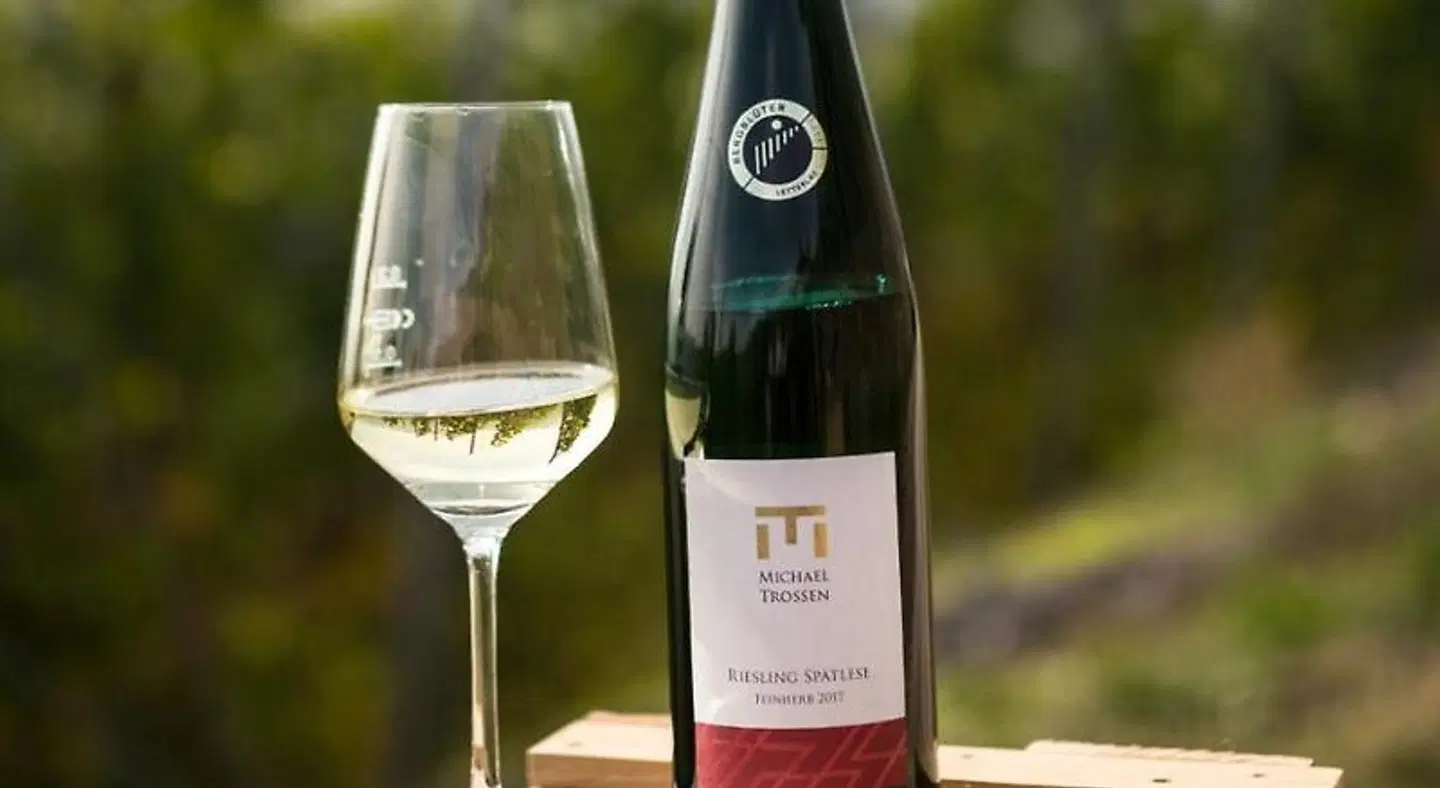 Rieslingquartier - Mosel Wein Hotel Badezimmer