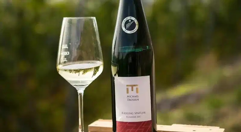 Rieslingquartier - Mosel Wein Hotel – Hotelfoto