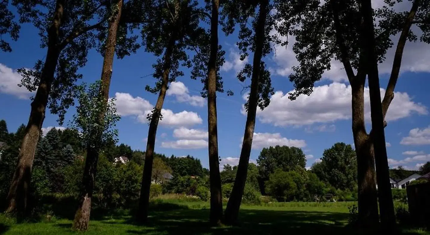 Landhotel Eifellust LANDSCAPE