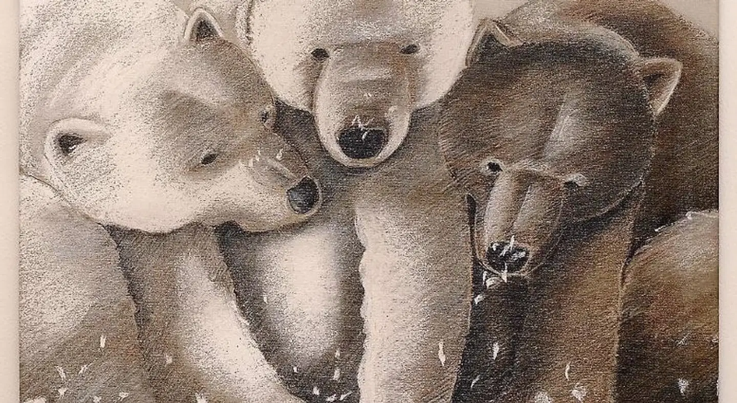 Arnaria Tiere