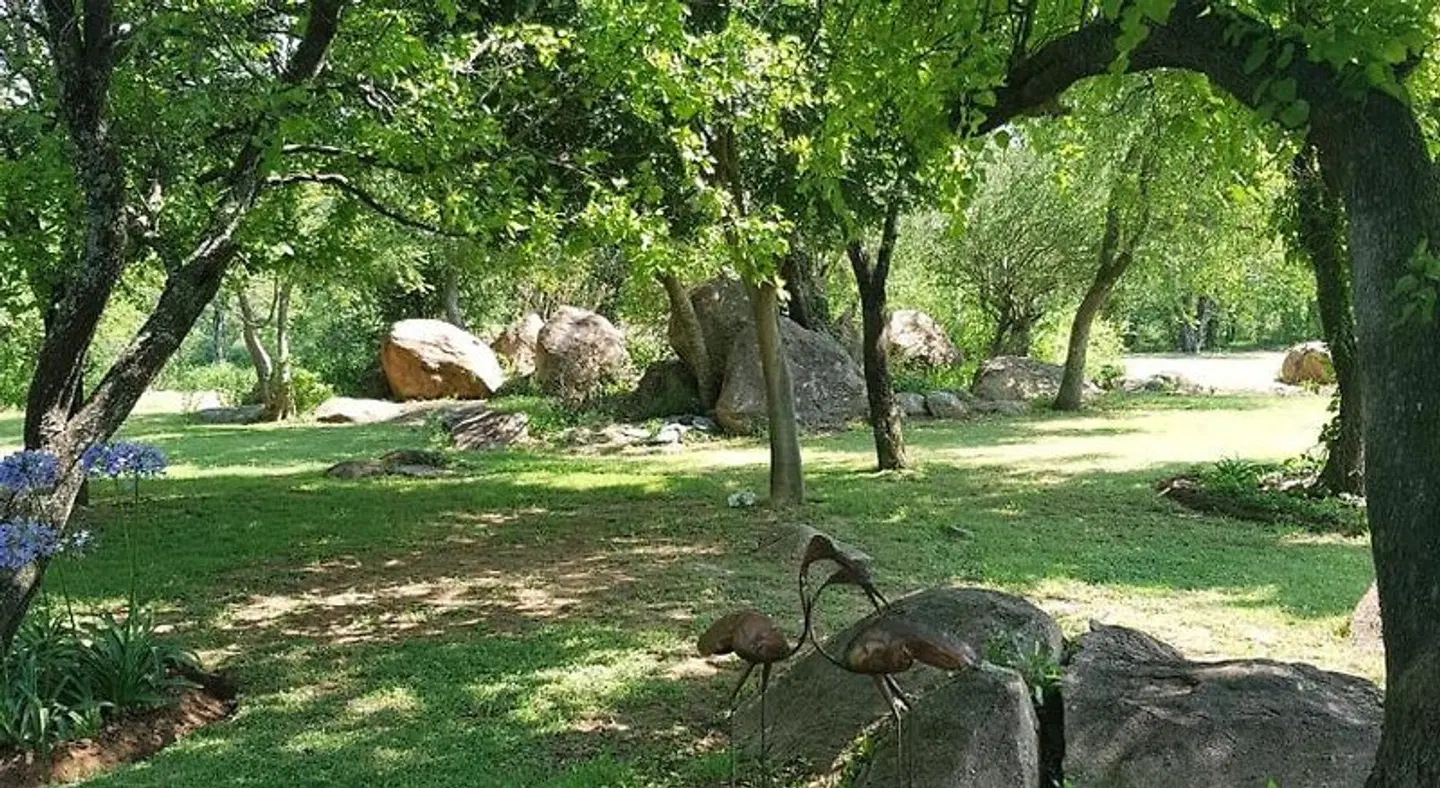 River Rock Guesthouse Tiere