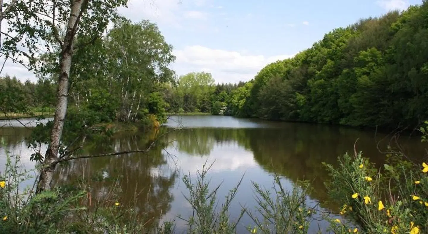 Spruce Lake LANDSCAPE