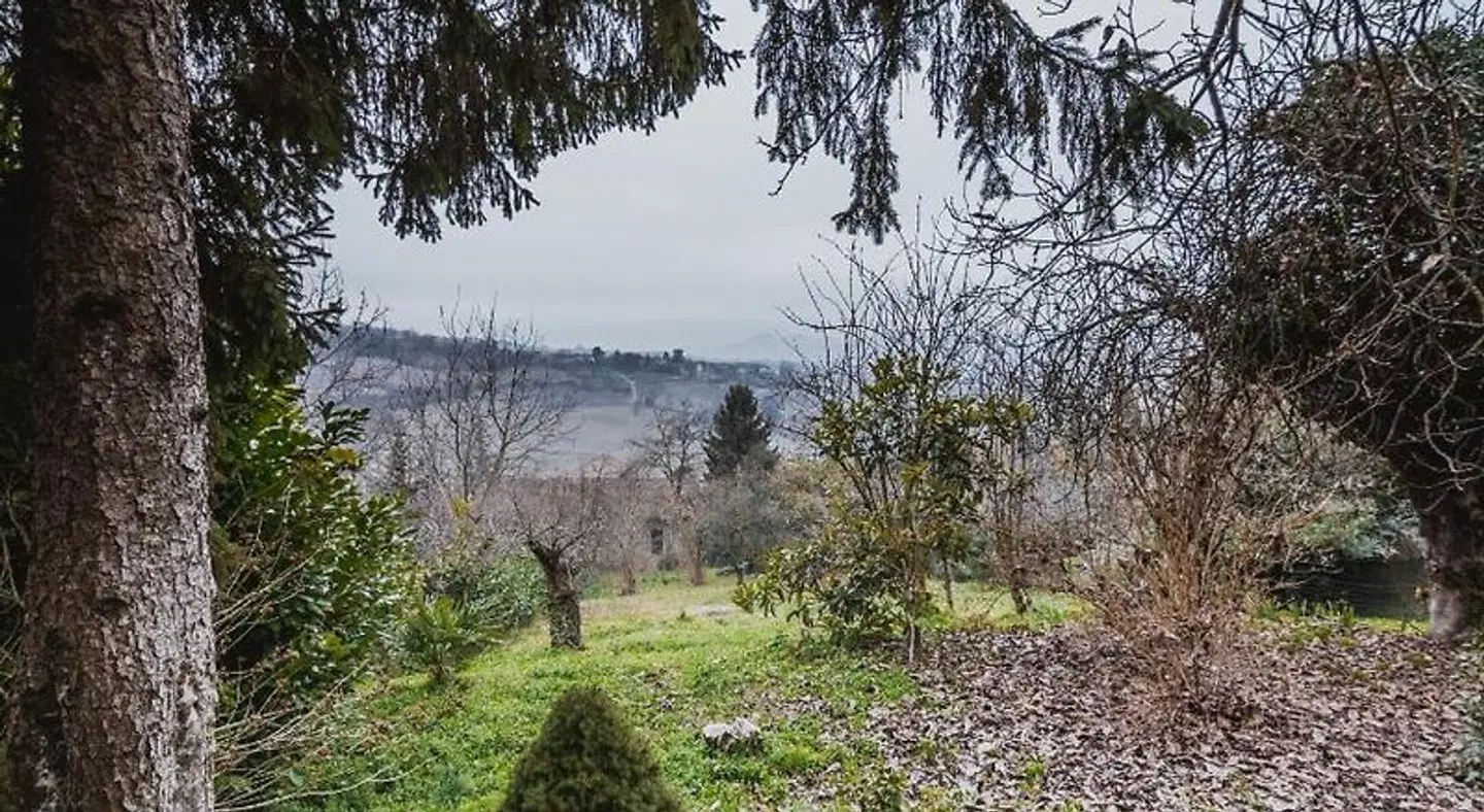 I Quattro Gatti LANDSCAPE