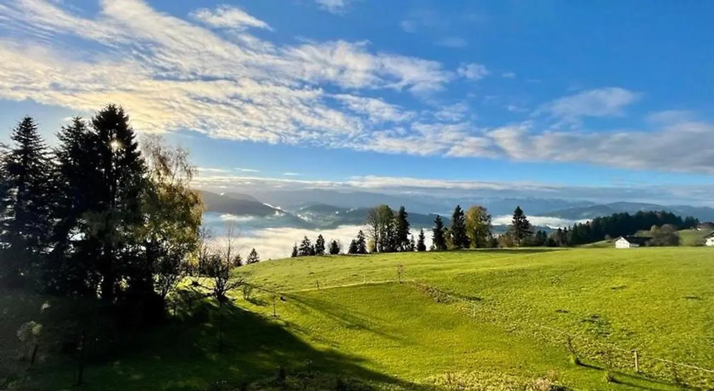 Bilgeri LANDSCAPE