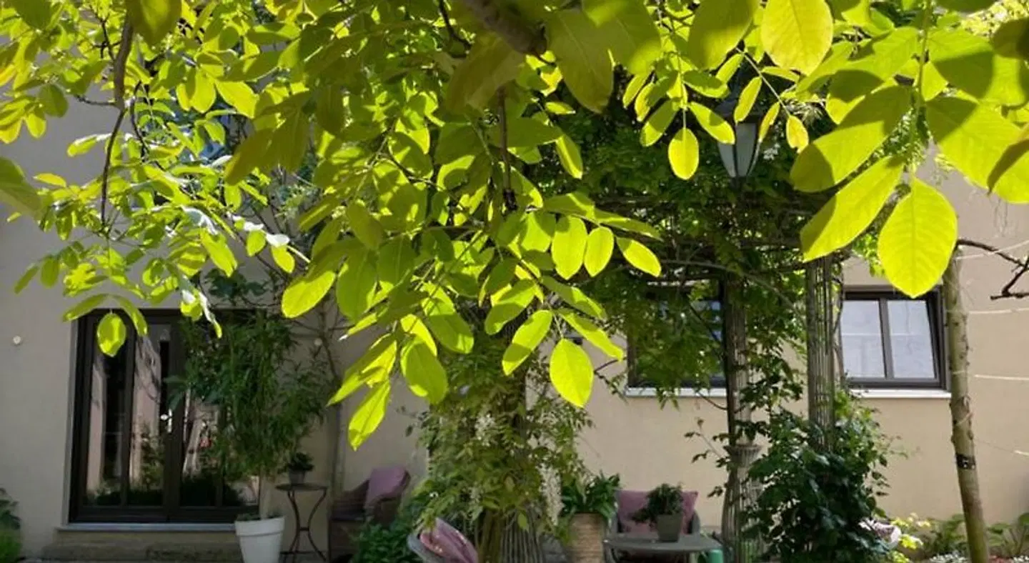 Jugendstil-Hof Garten