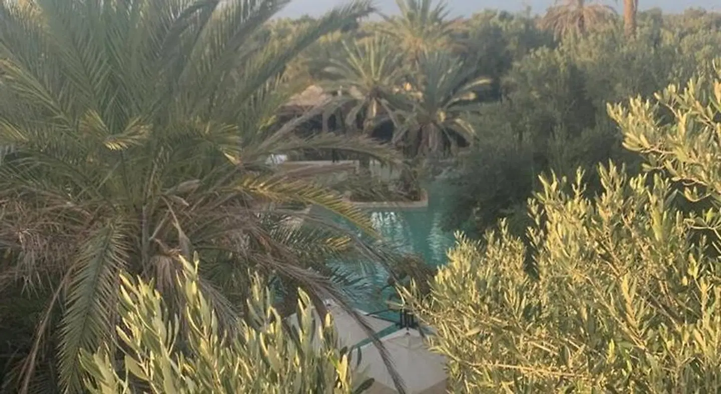 Riad le Jasmin LANDSCAPE