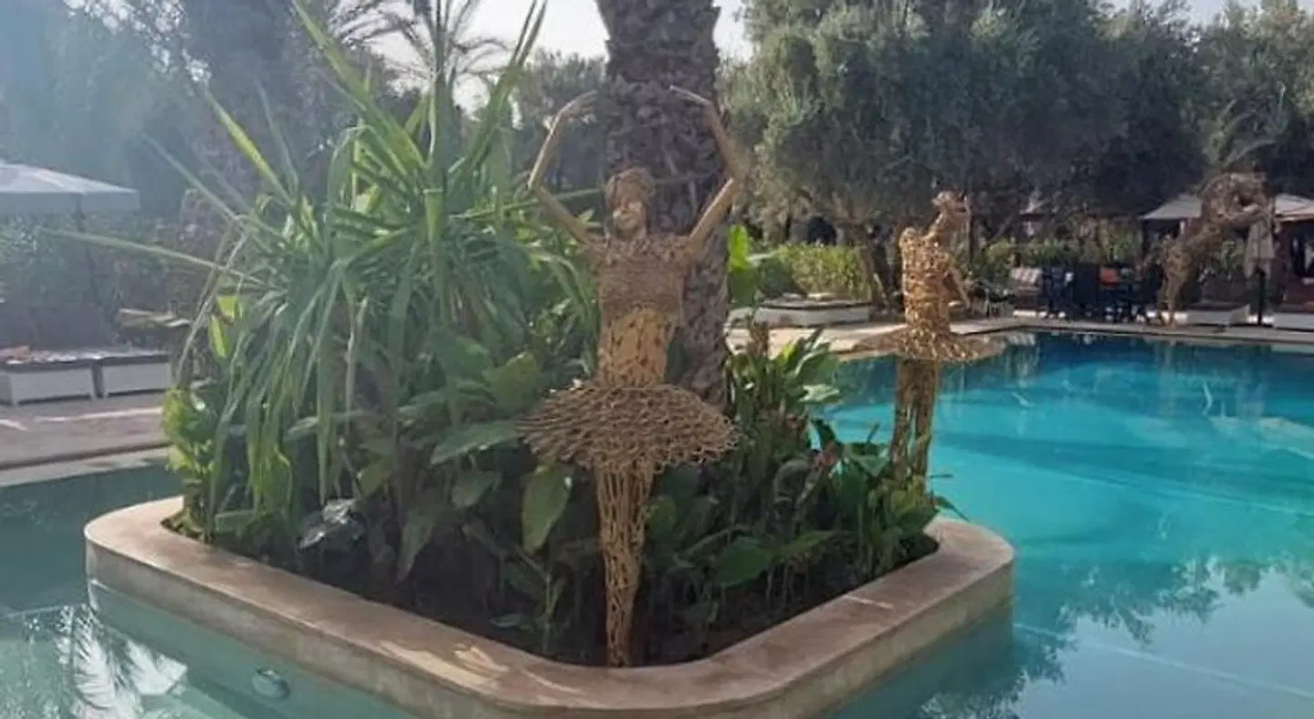 Riad le Jasmin OUTDOOR_POOL