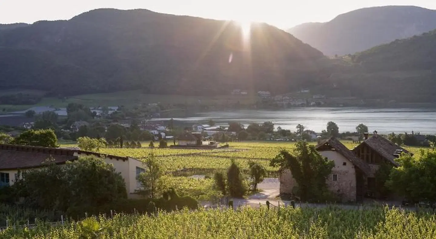 Haus am Hang LANDSCAPE