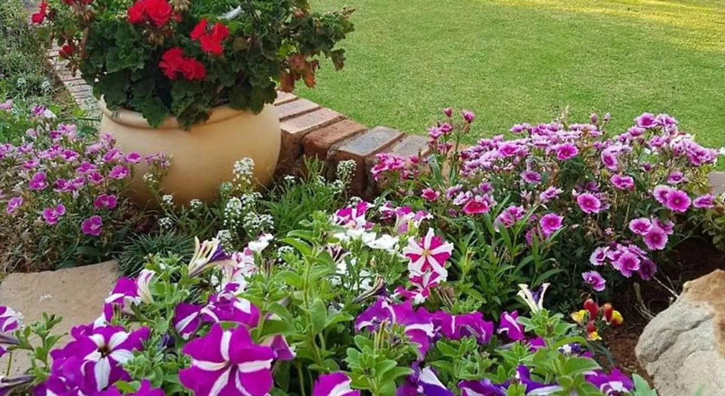 Jolani Guest House Garten