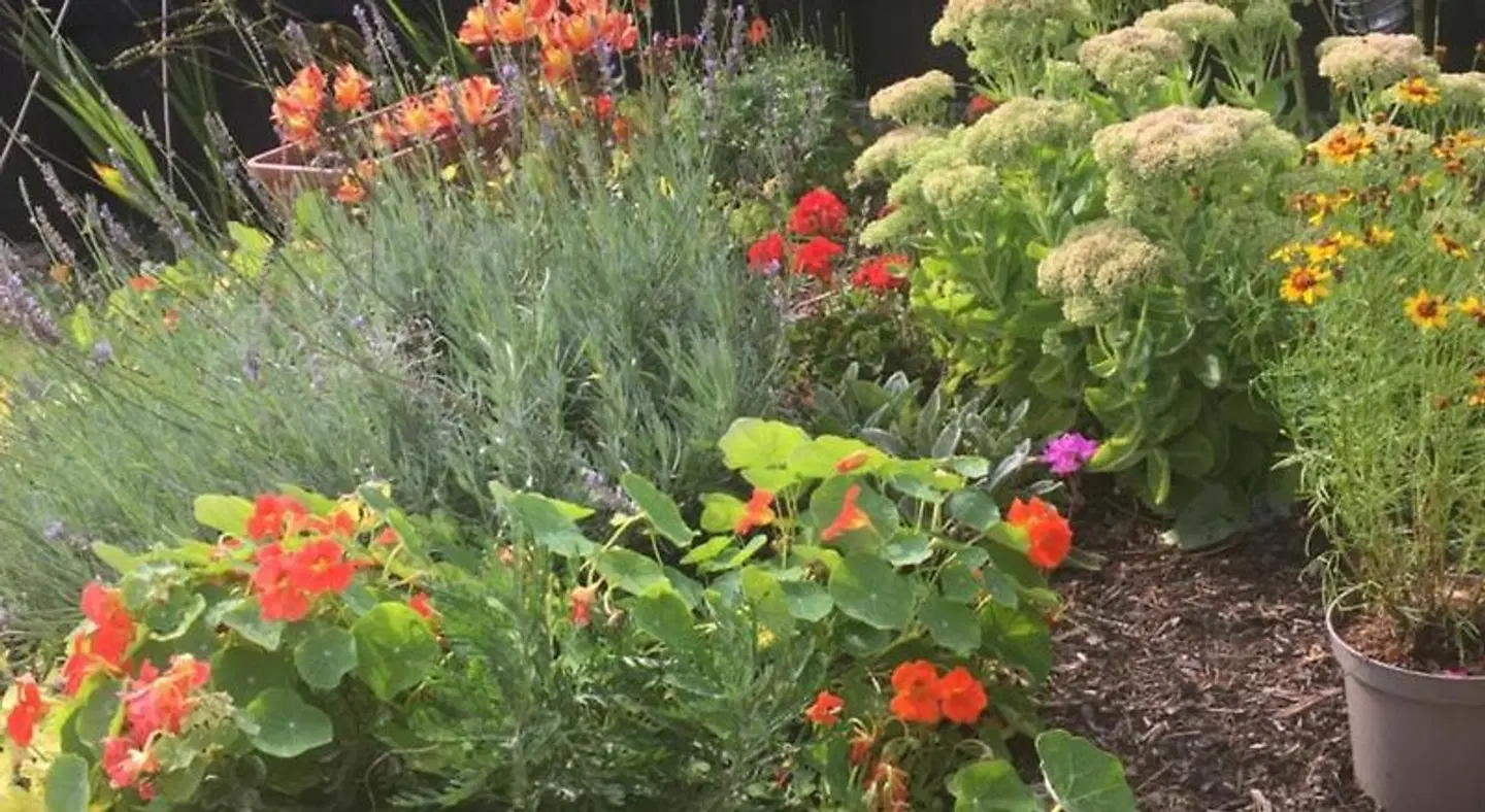 The Crossroads B&B Garten