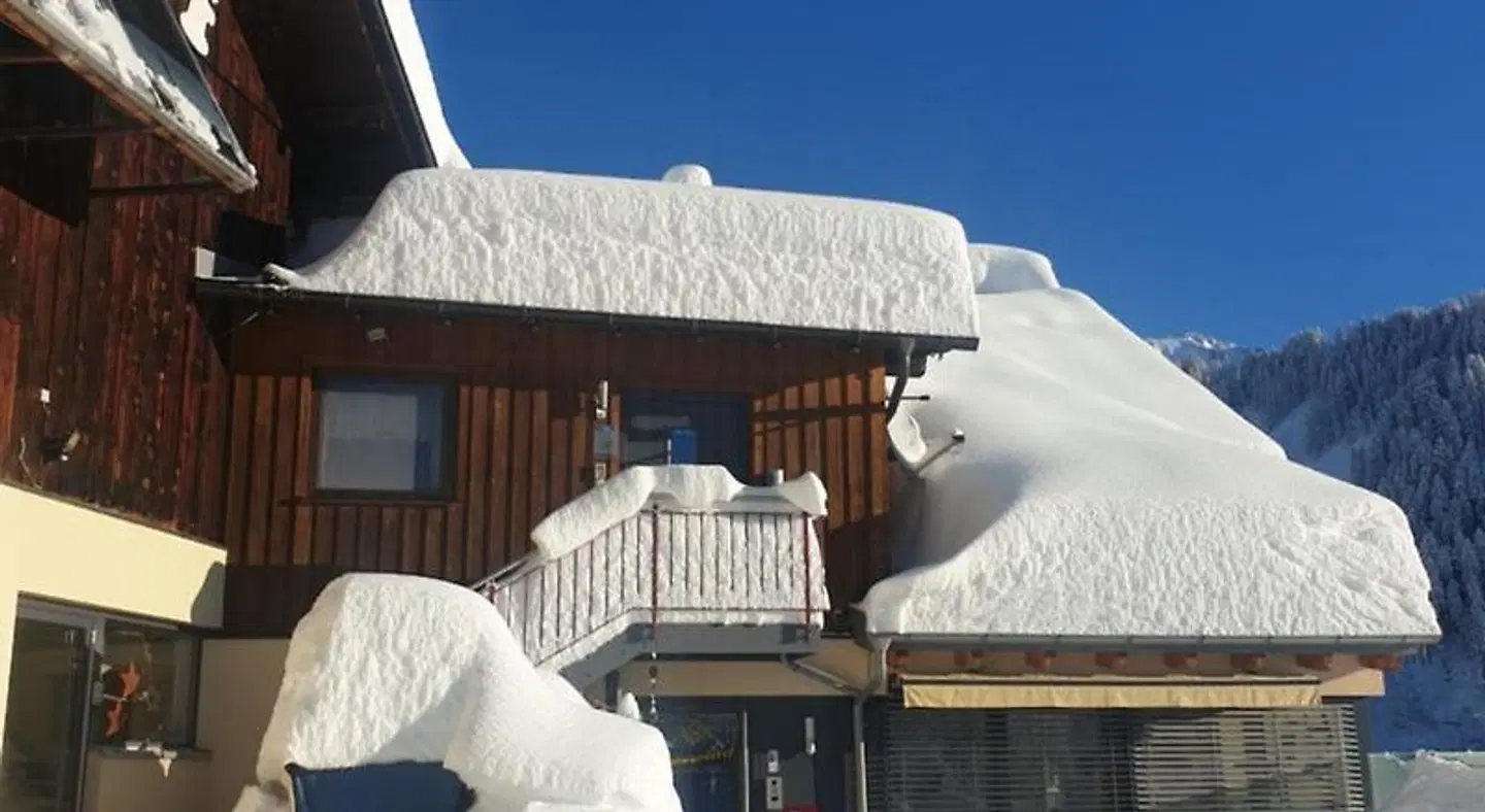Ferienhaus Schwendehof Tiere