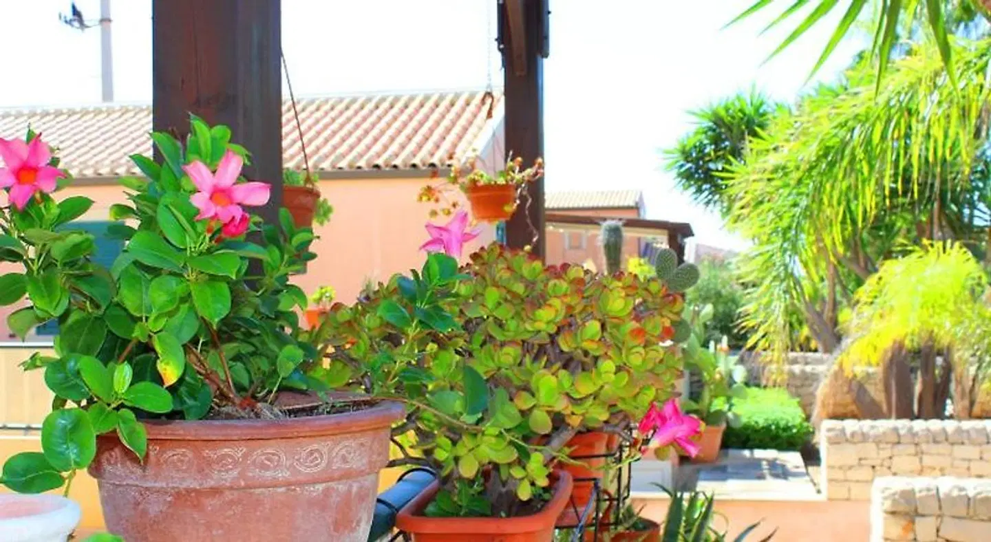 Case Vacanze Medusa Garten