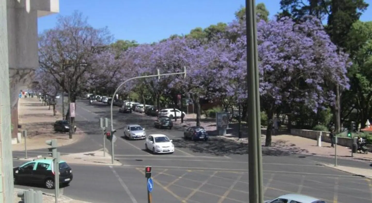 GoodTime Marques Suites Terrasse