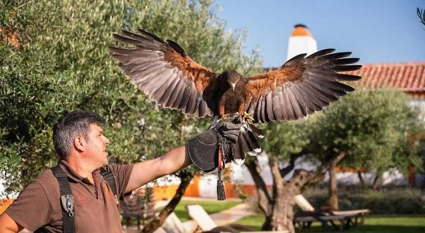 Vila Gale Collection Alter Real Tiere