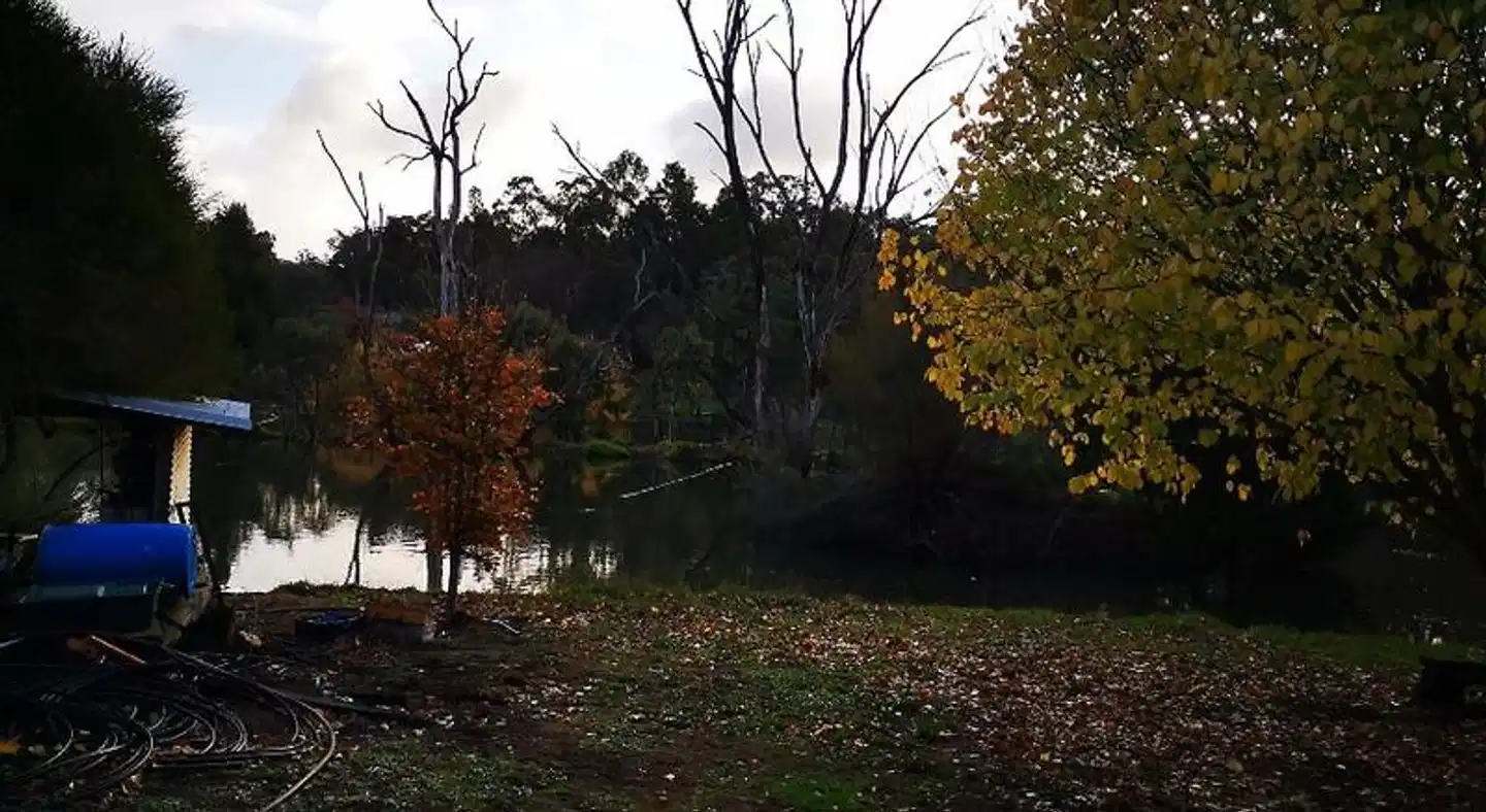 Woodlands of Balingup Bush Cottages Garten