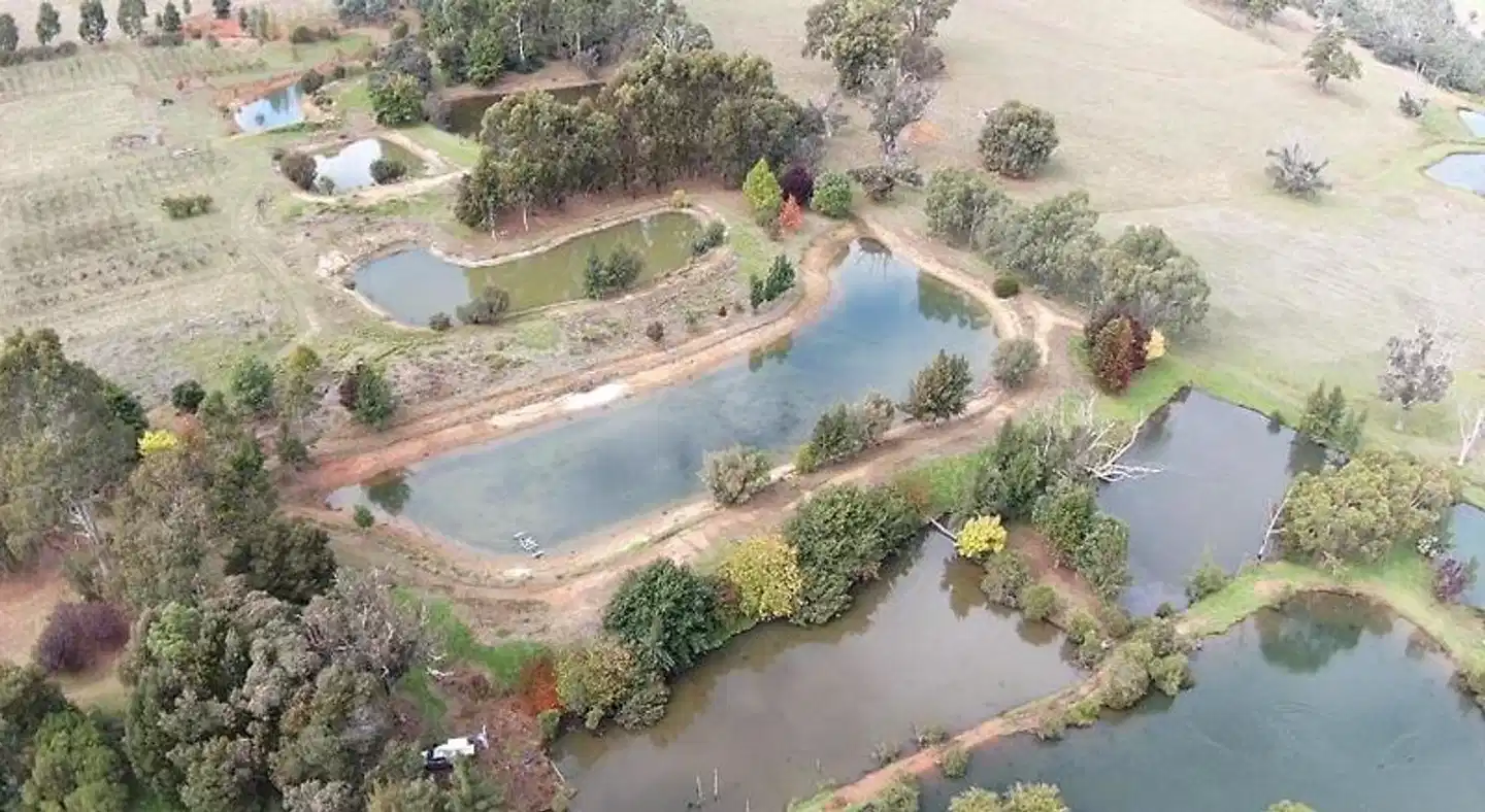 Woodlands of Balingup Bush Cottages Landschaft