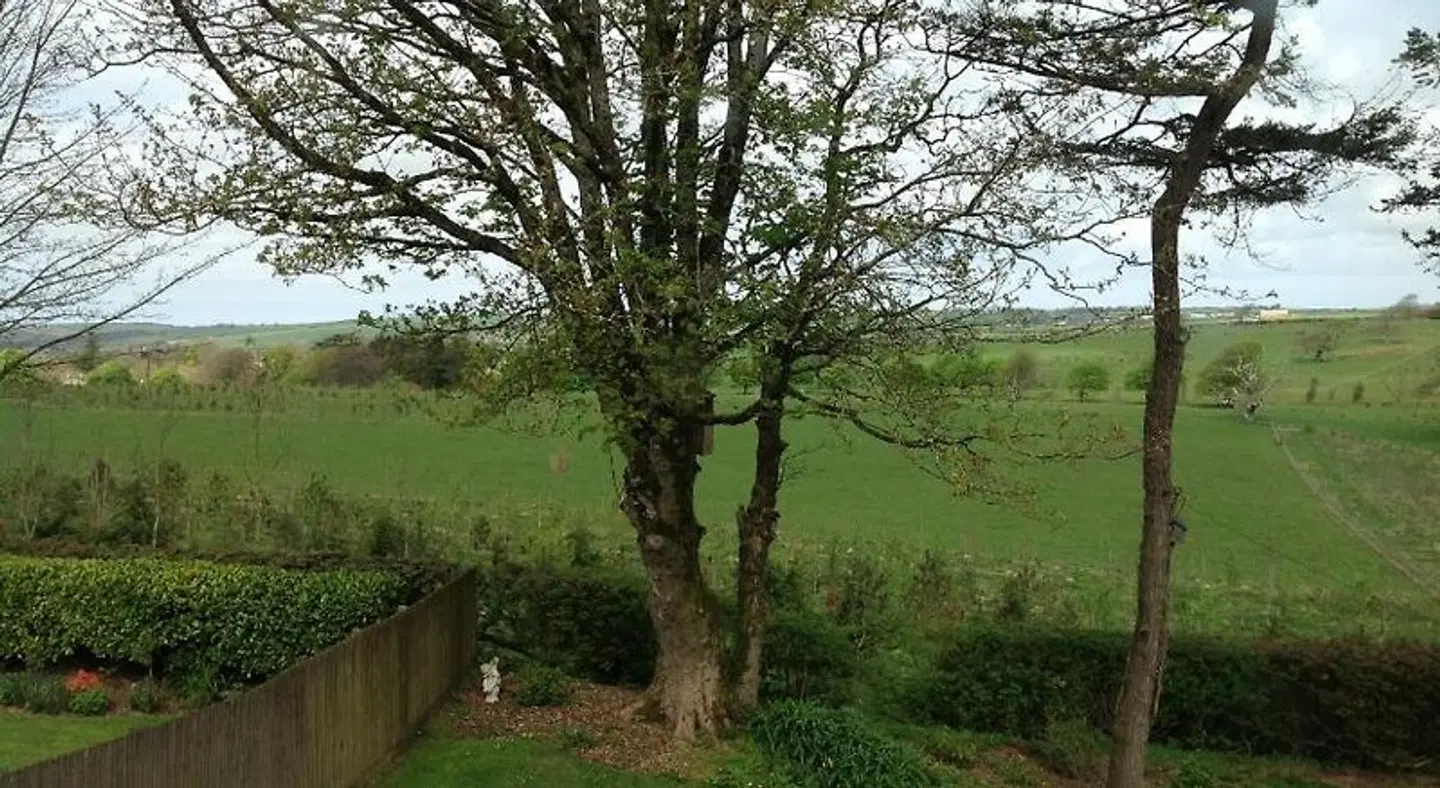The Spinney LANDSCAPE
