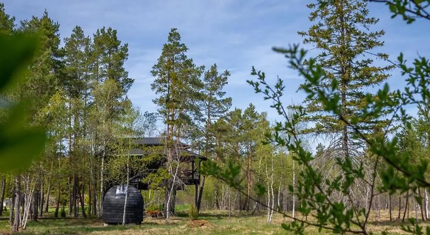Sambliku Treehouse LANDSCAPE